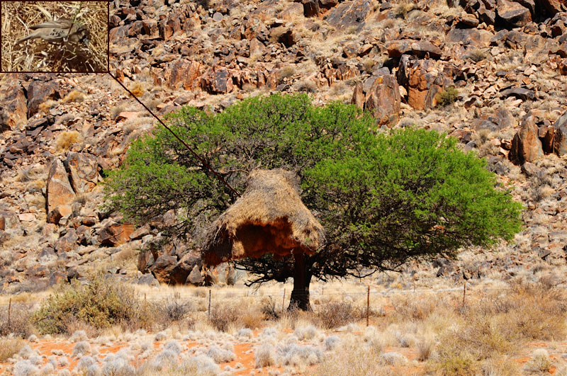 Namibia